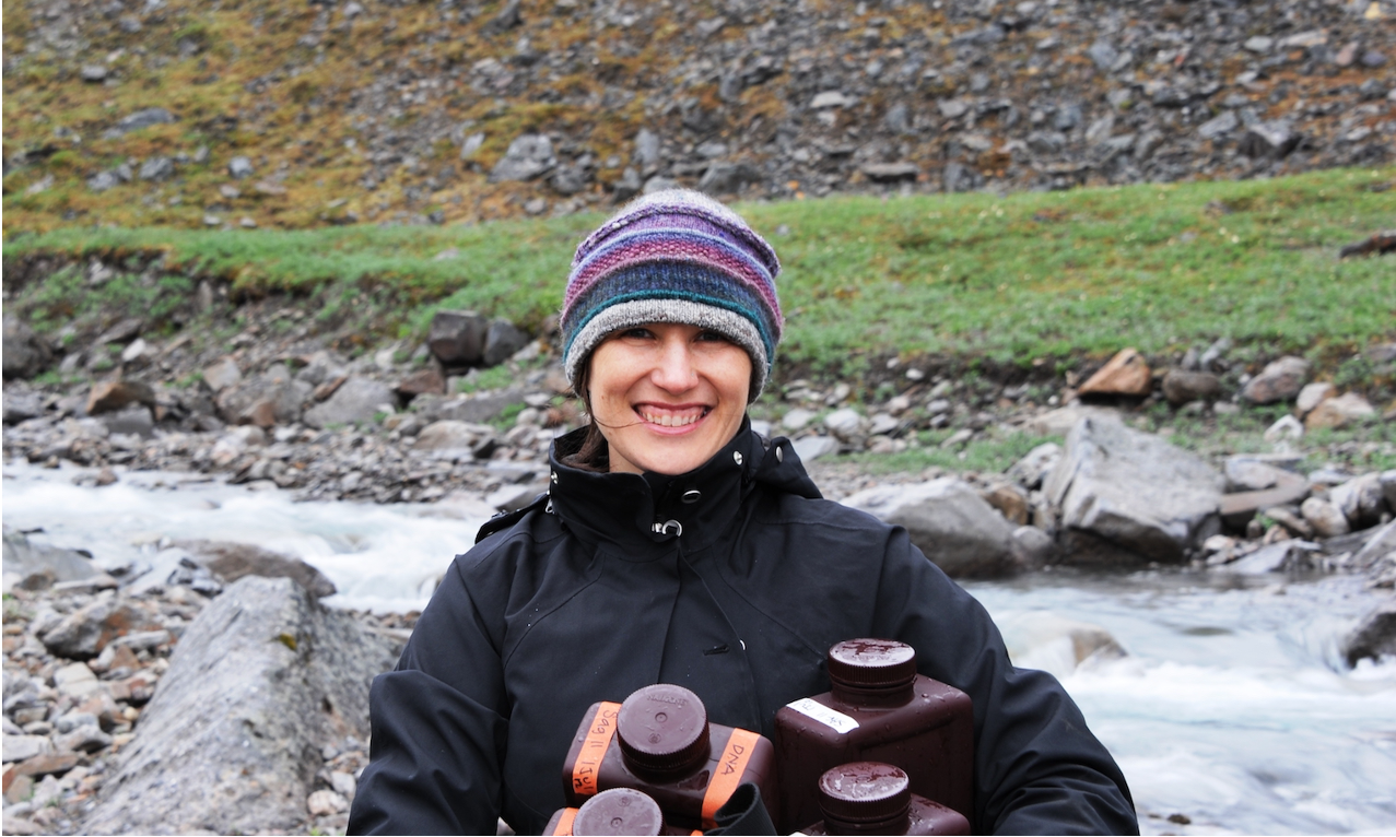 Rose Cory sampling river water in headwater stream, Alaskan Arctic, 2012.