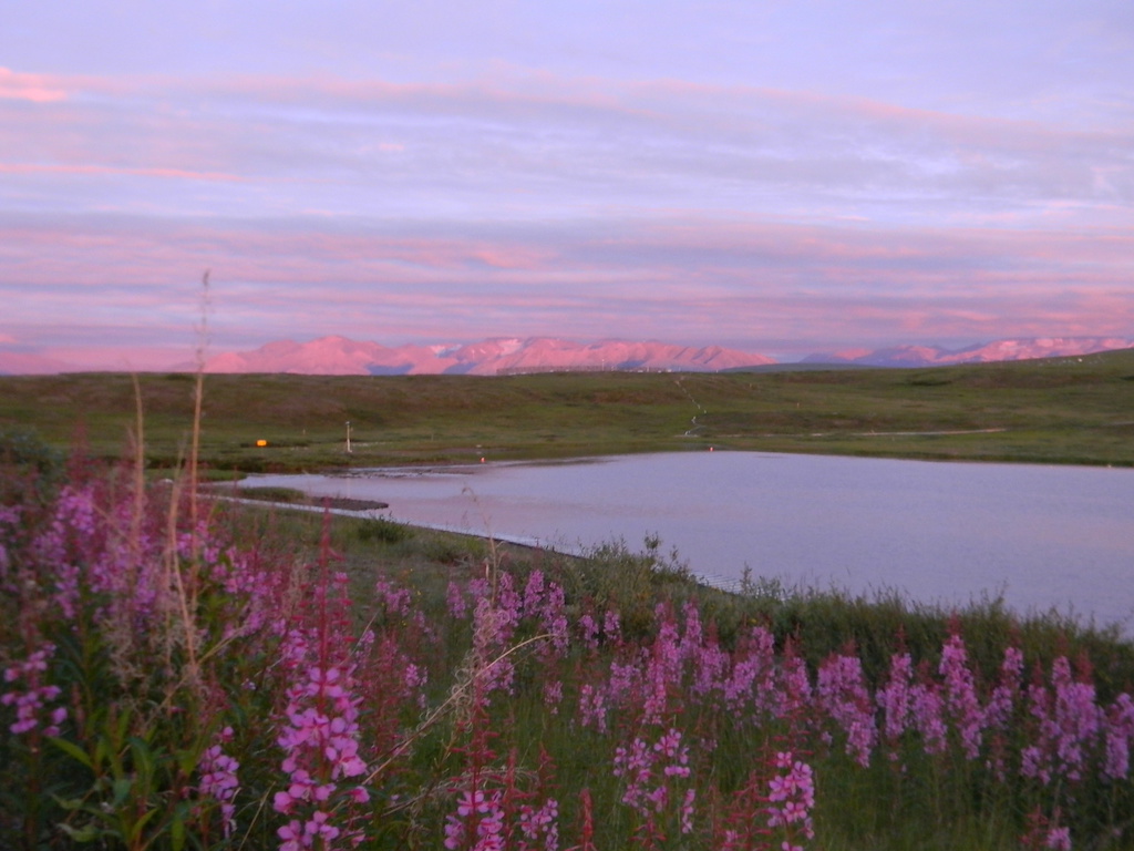 View from Toolik Field Station, Alaska