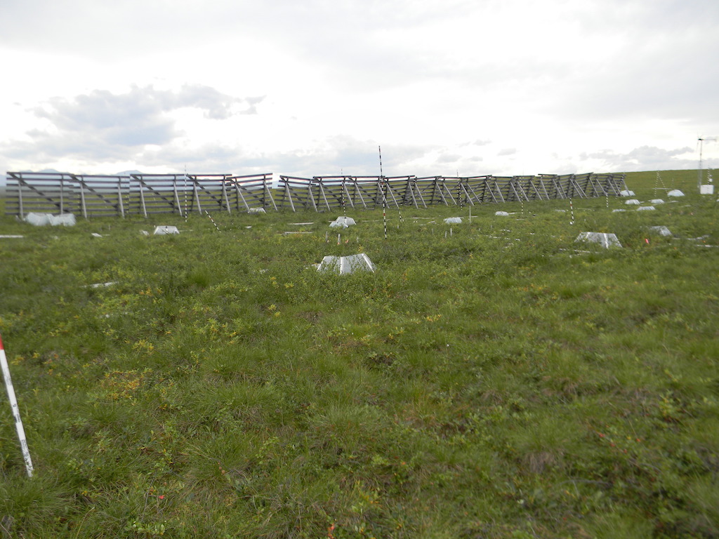 Soil sampling site, Toolik Field Station, Alaska