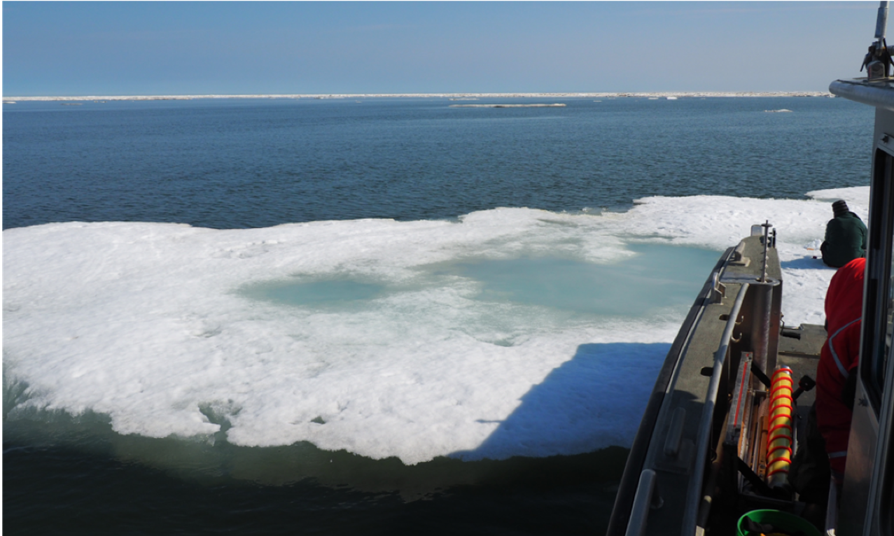 Sampling a structurally rotten ice floe offshore. PC: Dr. Karen Junge, July 2017.
