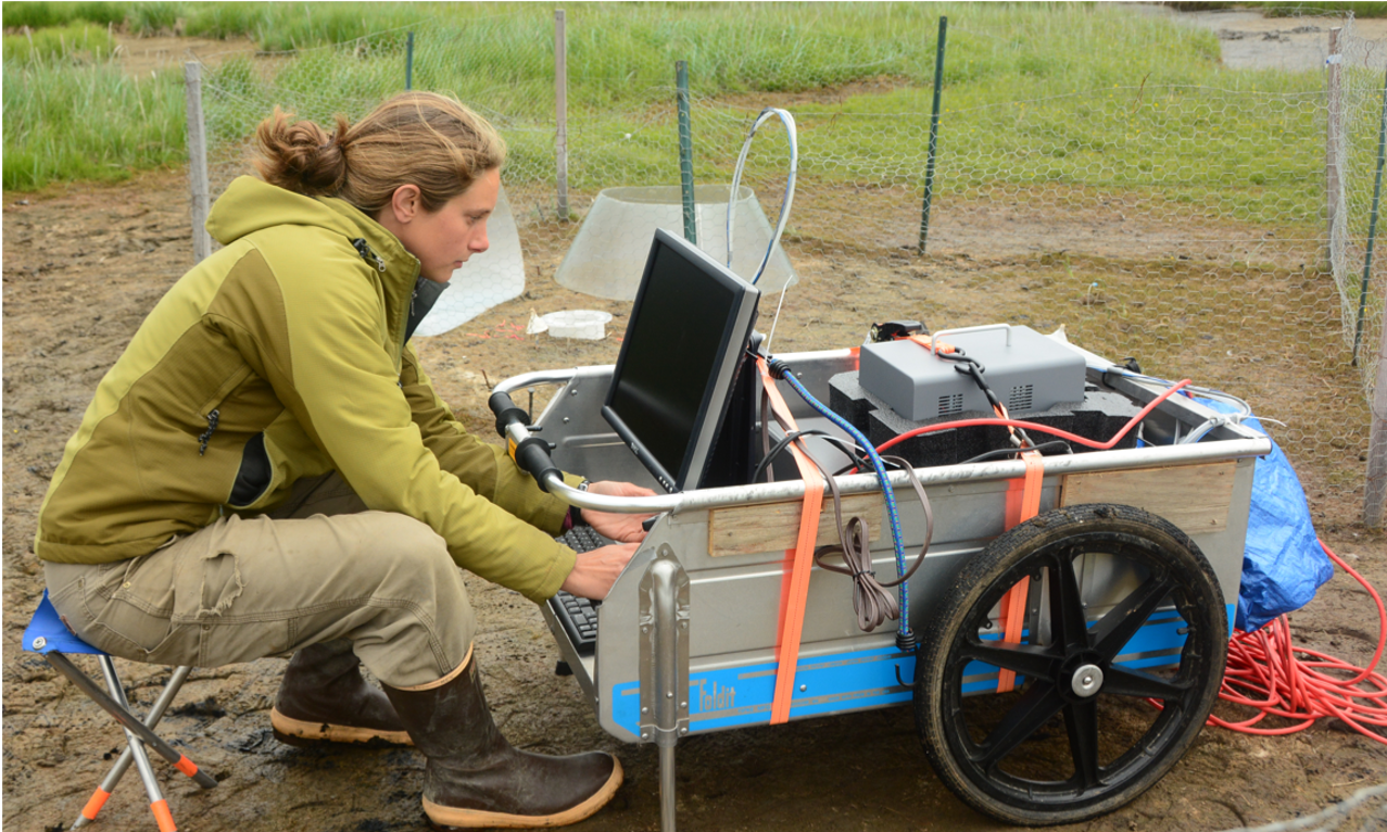 Dr. Kathy Kelsey collecting greenhouse gas data. 
