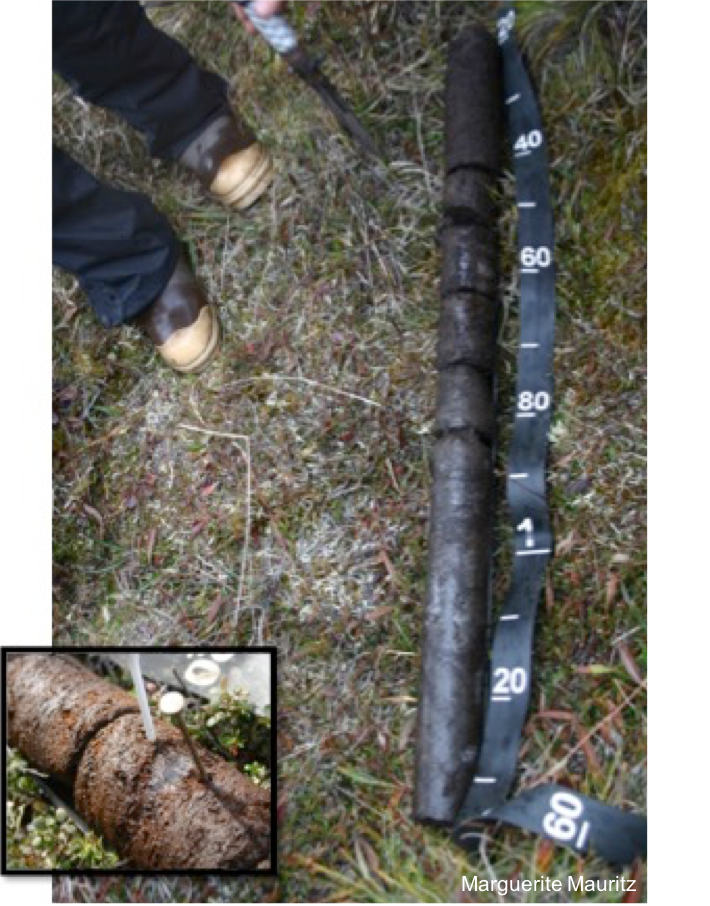Permafrost carbon soil core example
