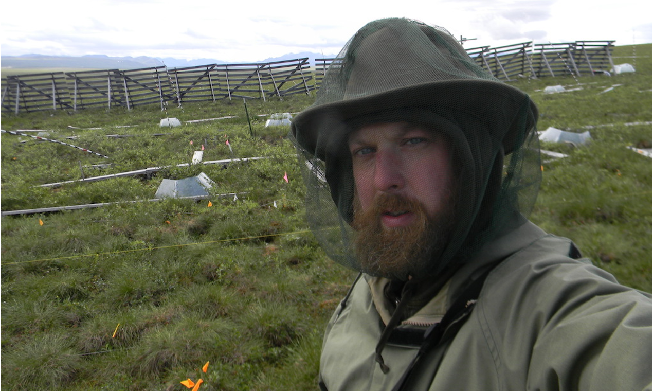 Michael Ricketts at a soil sampling site near Toolik Field Station, Alaska (Michael Ricketts)