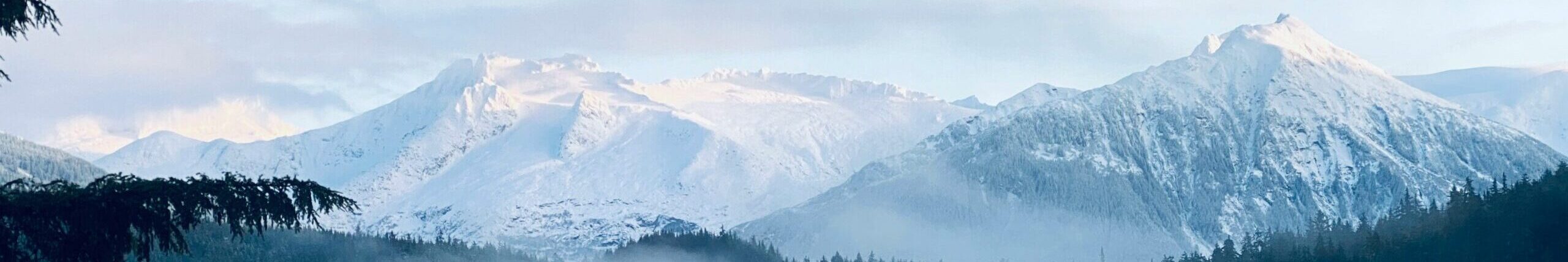 adc-homepage-header-image