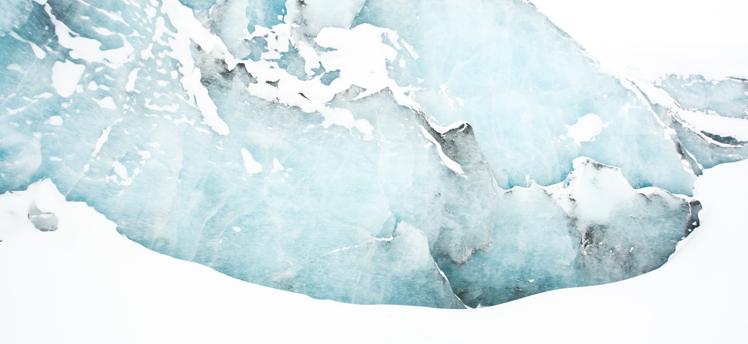 bantersnaps-VZOU5zZVgYM-unsplash