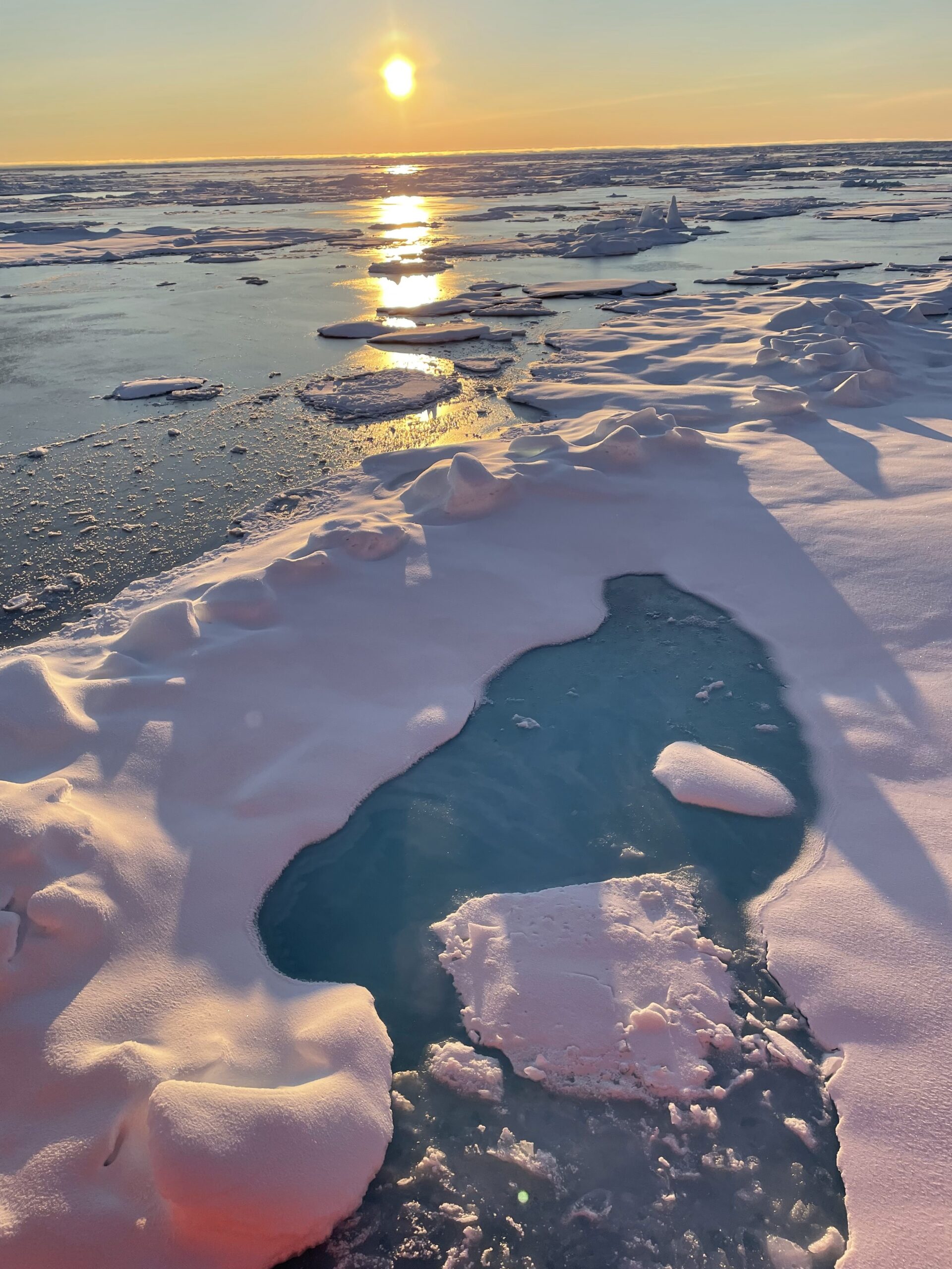 Sea ice on the Chukchi Sea, September 2022. Photo taken by Clare Gaffey.