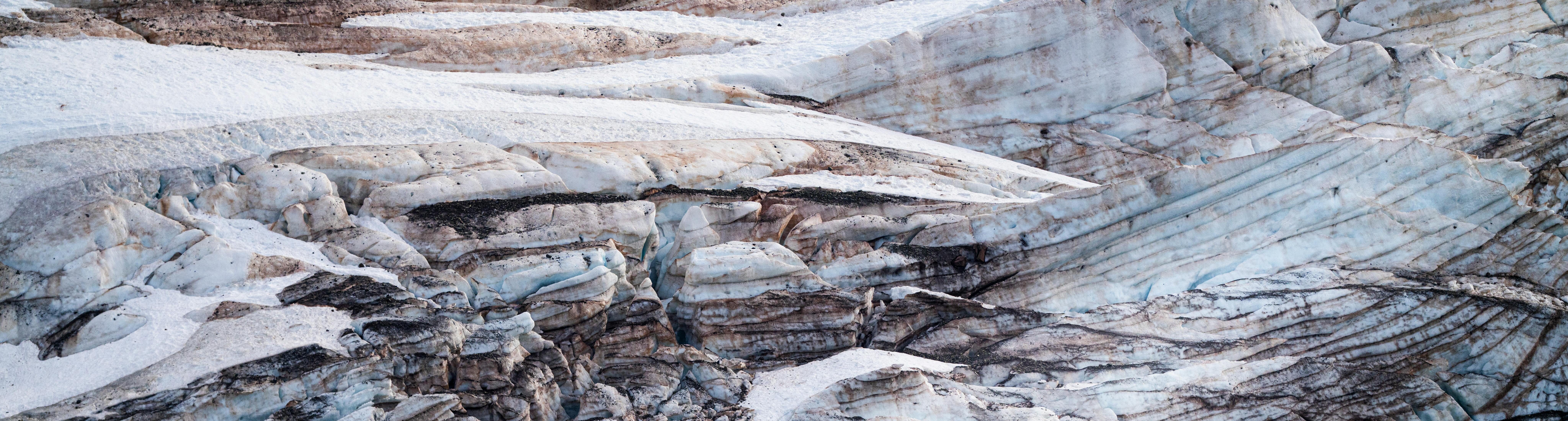 pexels-hugosykes-20493649