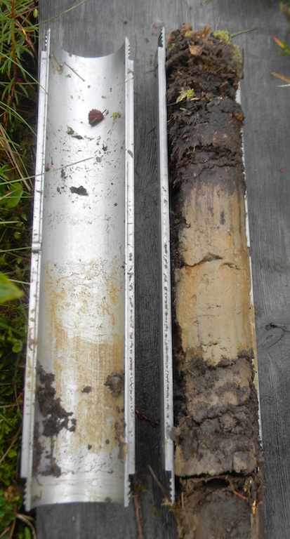 Soil core from Toolik study site